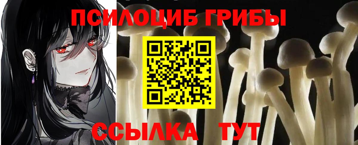 что такое   Вход с VPN  Галлюциногенные грибы Cubensis  Серов  Псилоцибиновые грибы мухоморы 